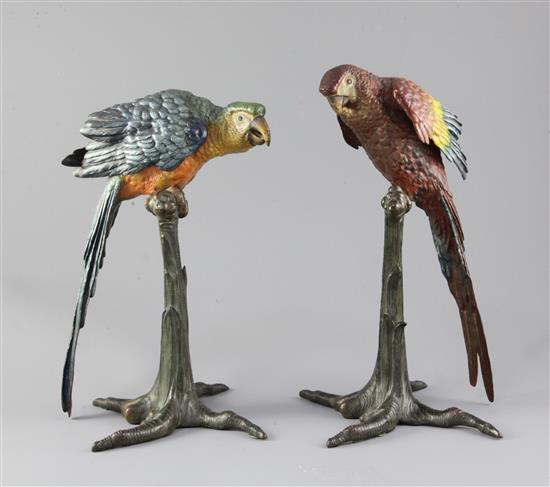 A pair of late 19th century Austrian cold painted bronze models of perched parrots, height 11.75in.